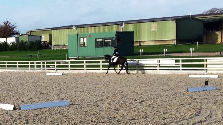 Lords Dressage